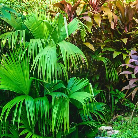Pousada Jardim Das Bromelias Porto Seguro Bagian luar foto
